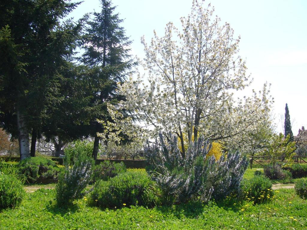 Agriturismo San Giacomo ปีติญาโน ภายนอก รูปภาพ