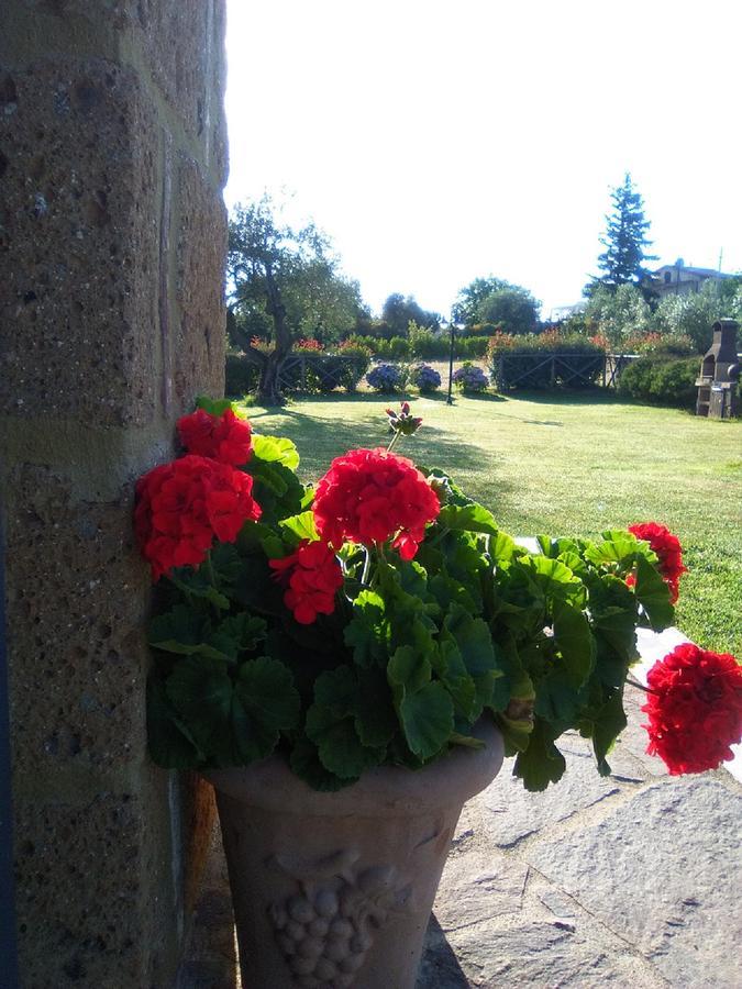 Agriturismo San Giacomo ปีติญาโน ภายนอก รูปภาพ
