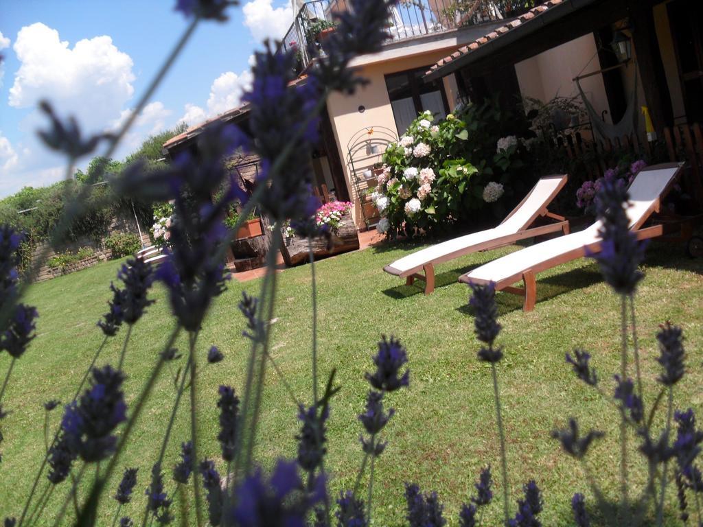 Agriturismo San Giacomo ปีติญาโน ห้อง รูปภาพ