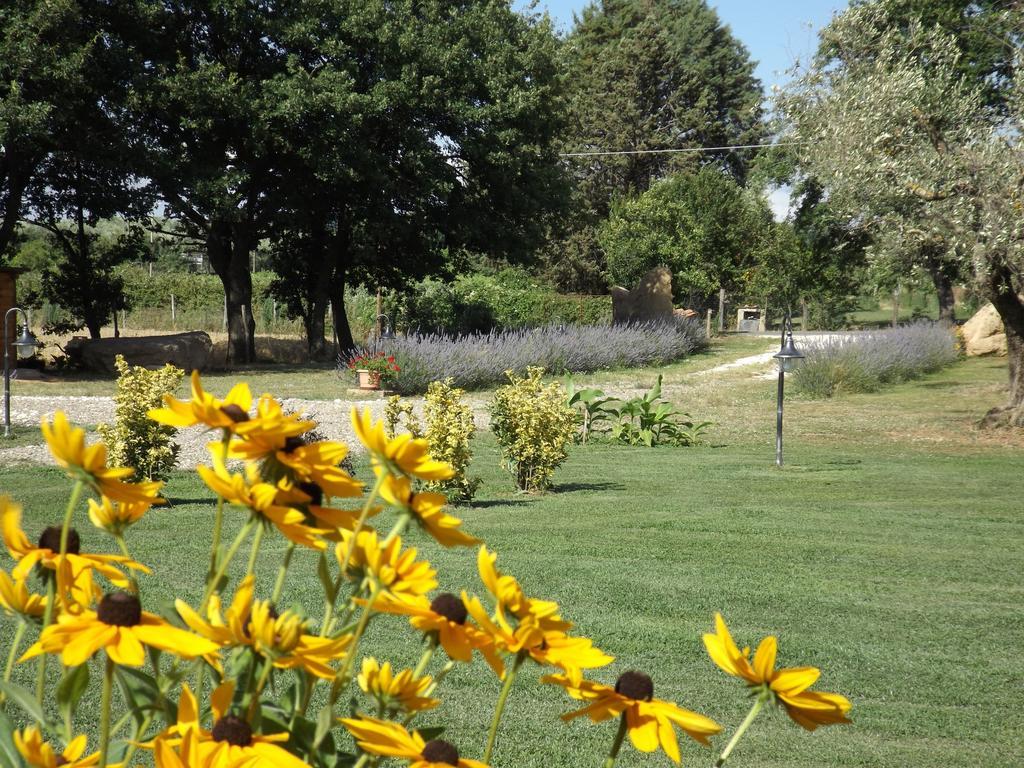 Agriturismo San Giacomo ปีติญาโน ห้อง รูปภาพ