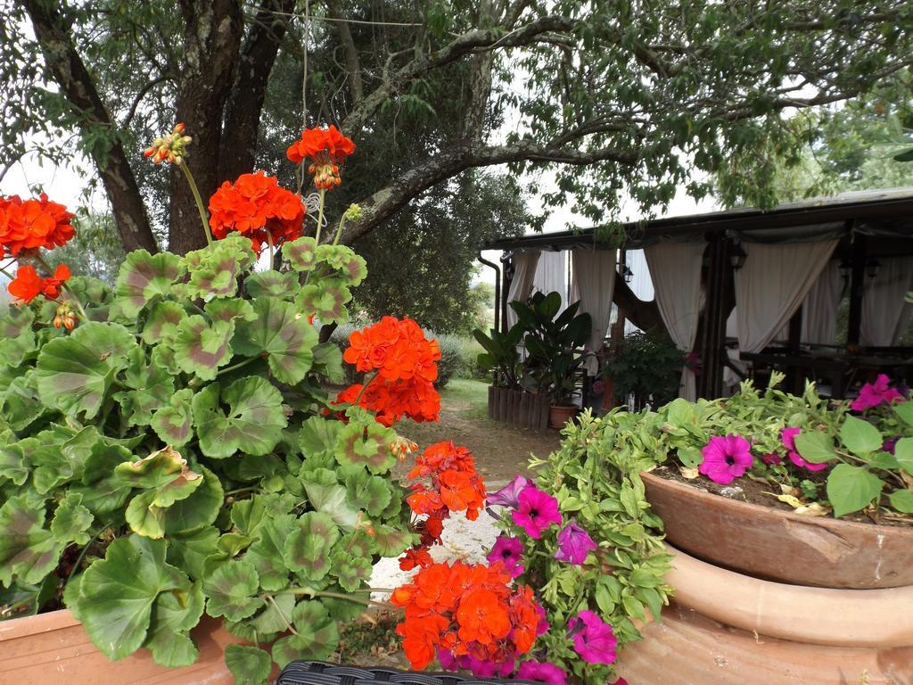 Agriturismo San Giacomo ปีติญาโน ห้อง รูปภาพ