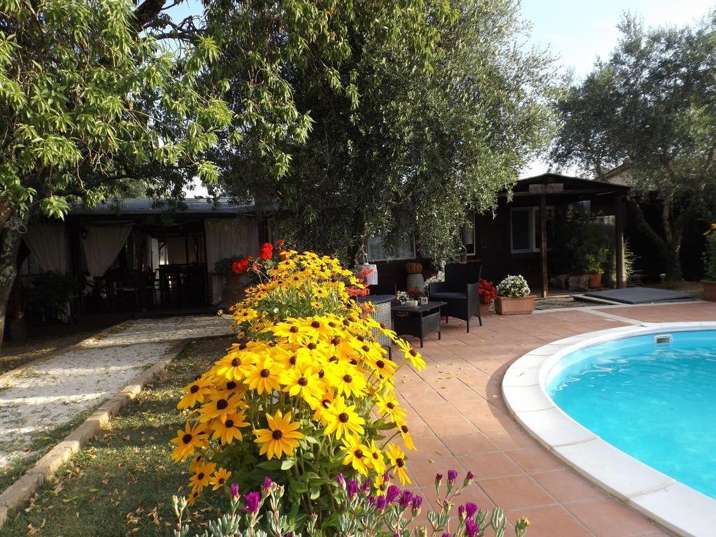 Agriturismo San Giacomo ปีติญาโน ห้อง รูปภาพ